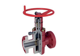 PR2 Gate Valve