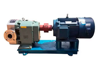 Rotator Metering Pump